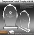Image result for Trophies Gold Crystal