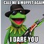 Image result for Kermit Thye Frog Memes
