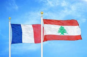 Image result for French Lebanon Flag