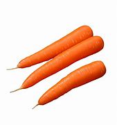 Carrot 的图像结果