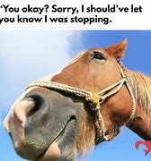 Image result for Animal House Horse Meme