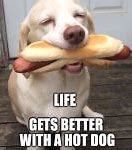 Image result for Hot Dog Doge Meme