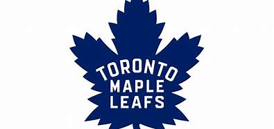 Image result for Toronto Maple Leafs Flag