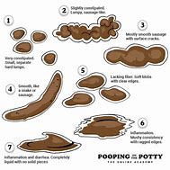 Image result for Grainy Poop