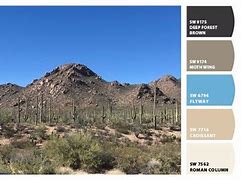 Image result for Reddish-Brown Paint Colors