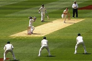 Image result for Test Cricket Stock Images