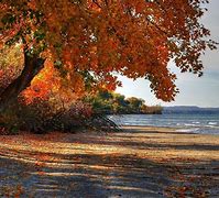 Image result for Fall Beachy Wallpaper