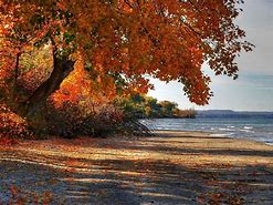 Image result for Autumn at the Beach