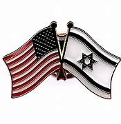 Image result for Israel Flag Lapel Pin