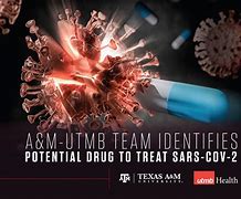 Image result for SARS-CoV 2 Drug Targets