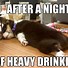 Image result for I Wanna Be This Drunk Meme