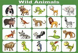 Image result for Animals Picture for Images for Kids