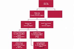 Image result for Family Tree Organizational Chart
