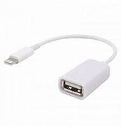 Image result for USB OTG Adapter iPhone