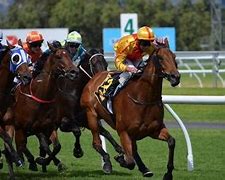 Image result for Horse Racing Injuries