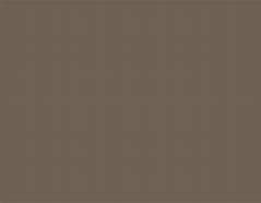 Image result for Sherwin-Williams Light Brown Paint Colors
