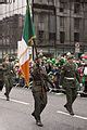 Image result for Medieval Irish Armies