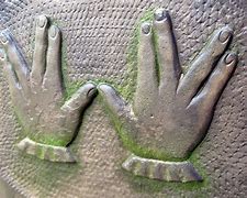 Image result for Vulcan Hand