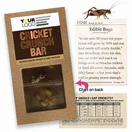 Image result for Chocolate Cricket Candy