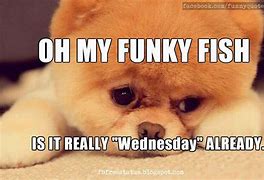 Image result for Wednesday Be Awesome Meme