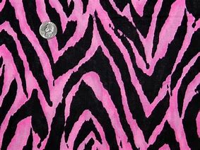 Image result for Hot Pink Zebra Print