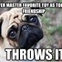 Image result for Pet Dog Meme