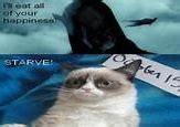 Image result for Tard the Grumpy Cat Meme