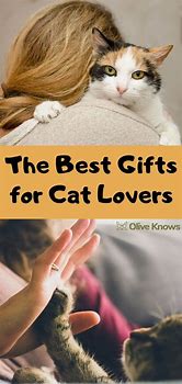 Image result for Perfect Gift for Cat Lovers
