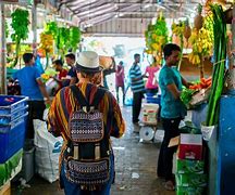 Image result for Cancun Market in Maldives