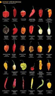 Scoville Rating Scale Pepper Heat Index Chart