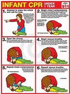 Image result for Dosing Chart for Bird CPR