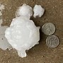 Image result for Raining with Hail Storm