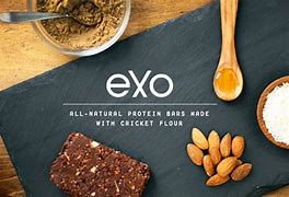 Image result for Cricket Protein Bars
