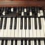 Image result for Electric Organ Instrument
