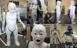 Image result for Humanoid Robot Acrtoid