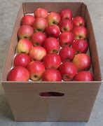 Image result for Apple Double X in Box