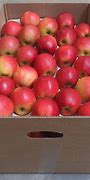 Image result for Apples in Boxes for Sale