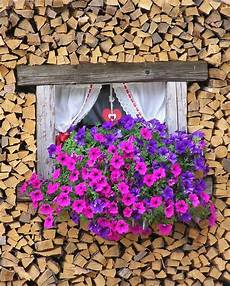 fioriere per davanzale finestra la finestra con i fiori nel legno the window with fioriere per davanzale finestra la finestra con i fiori nel legno the window with