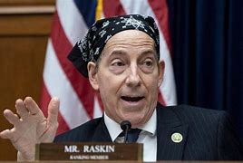 Image result for Raskin Congressman Hat