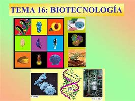 Image result for biotecnolog�a