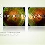 Image result for Cone-Rod Dystrophies