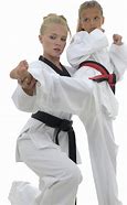 Image result for Karate Kyokushin Martial Arts