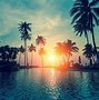 Image result for Sunset Palm Tree Wallpaper Lptop