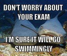 Image result for Exam Memes