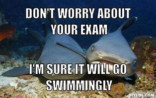 Image result for After Exam Meme