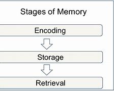 Image result for Encoding Memory หนงสอ