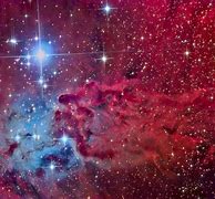 Image result for Fox Fur Nebula NASA