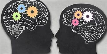 Image result for Brain Differences Between Genders
