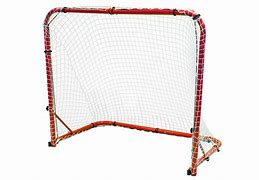 Image result for Ice Hockey Goal