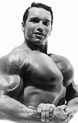 Image result for Arnold Schwarzenegger Gym Motivation